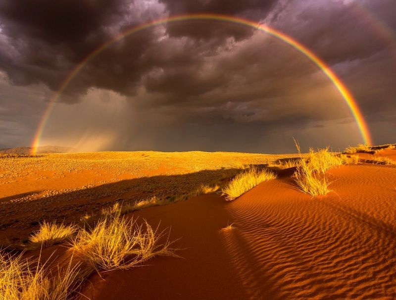 Rain in the Desert, Namibia. By Stefan Forster